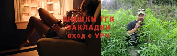 молекула духа Арсеньев