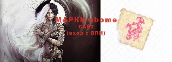 молекула духа Арсеньев