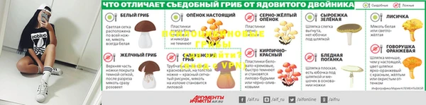 эйфоретик Аркадак