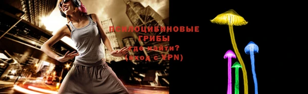 эйфоретик Аркадак