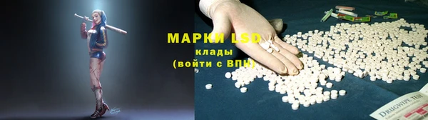 молекула духа Арсеньев