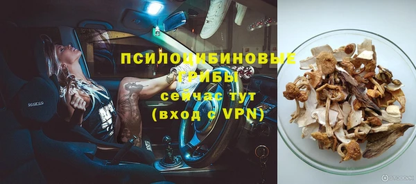 молекула духа Арсеньев