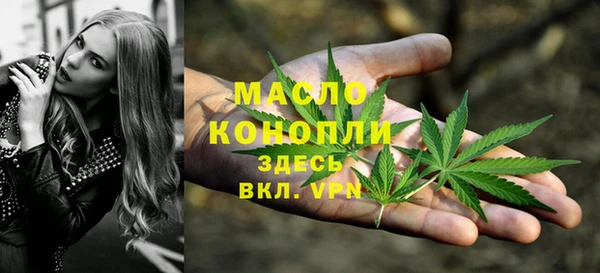молекула духа Арсеньев