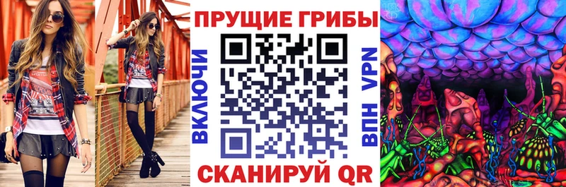 Купить  Нижний Новгород  Галлюциногенные грибы мухоморы 